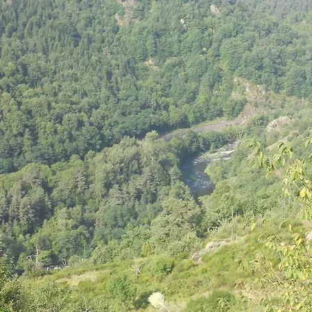 Le Carpe Diem * Saint-Privat-dʼAllier