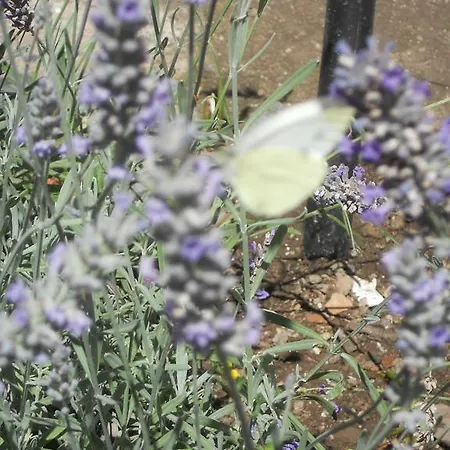 Le Carpe Diem * Saint-Privat-dʼAllier