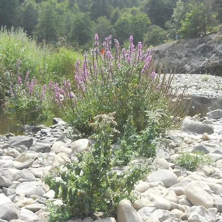 Le Carpe Diem * Saint-Privat-dʼAllier