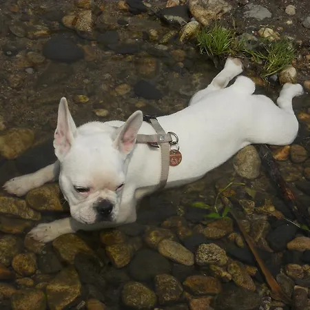 Le Carpe Diem Feriehus *